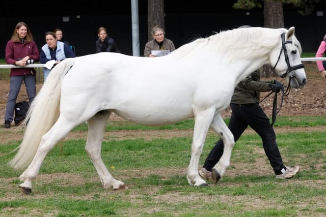 Gentle Farm’s Breeze RC 1425 3