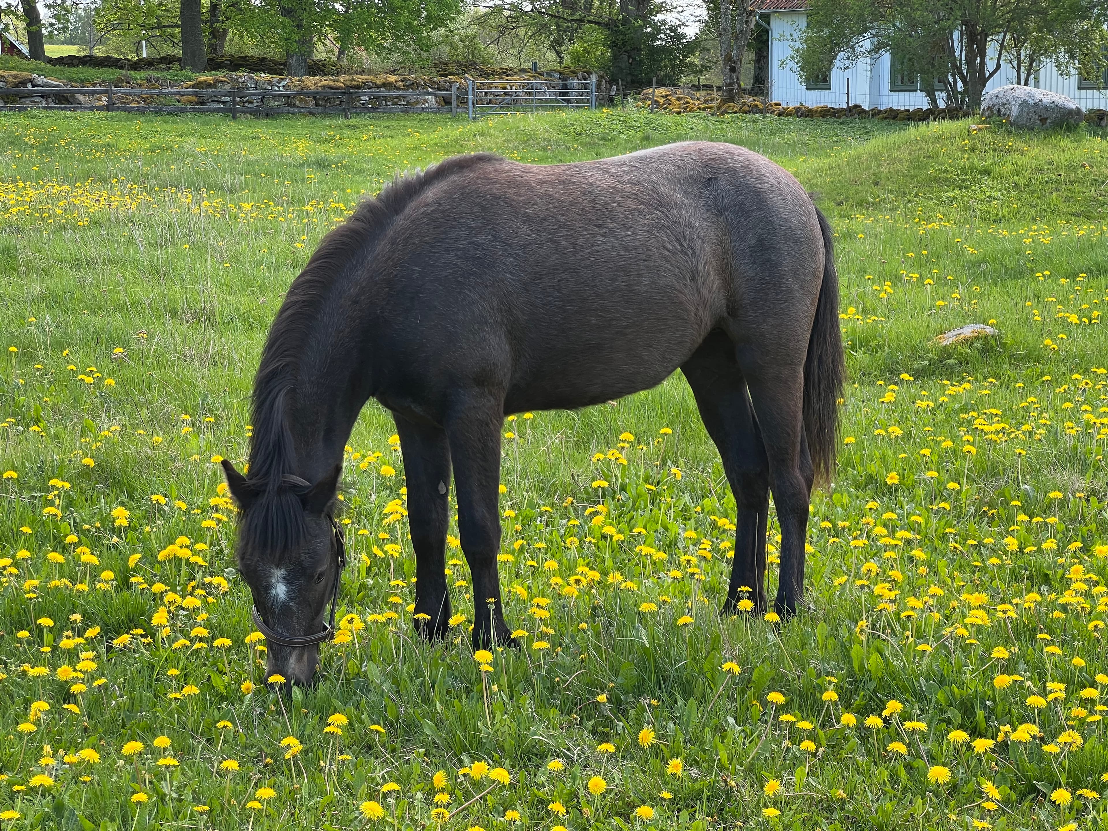 MB’s Show Me Heaven