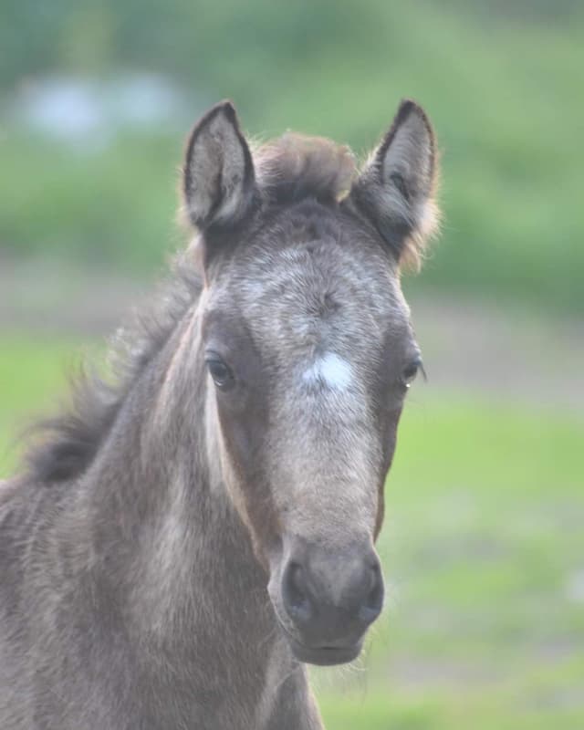 MB’s Show Me Heaven 4