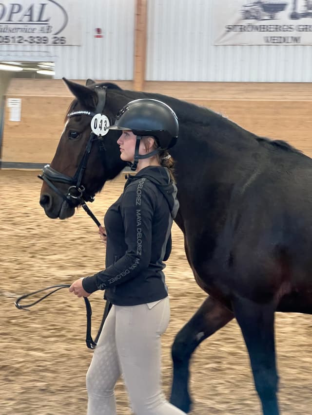 Gentle Farm’s Night 4