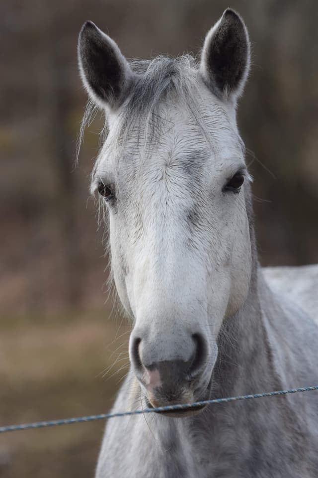 F.L.S Poetic Sydney 3