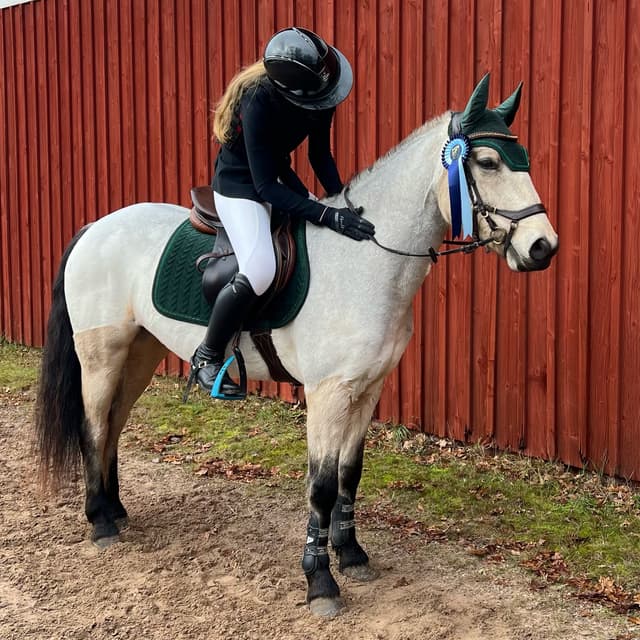 MB’s Show Em Off "Sessan" 3