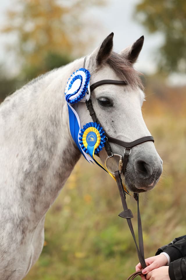 Realt Chois Fharraige 2