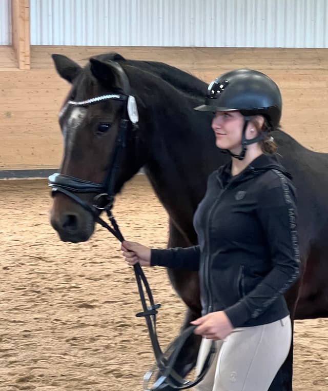 Gentle Farm’s Night 3