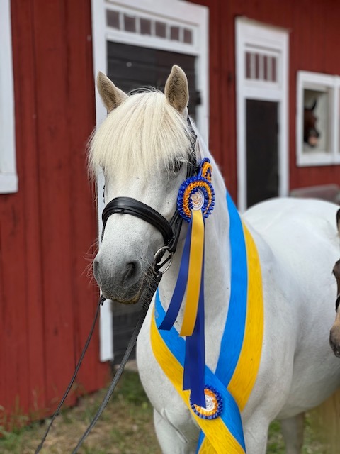 Gentle Farm’s Breeze RC 1425 2