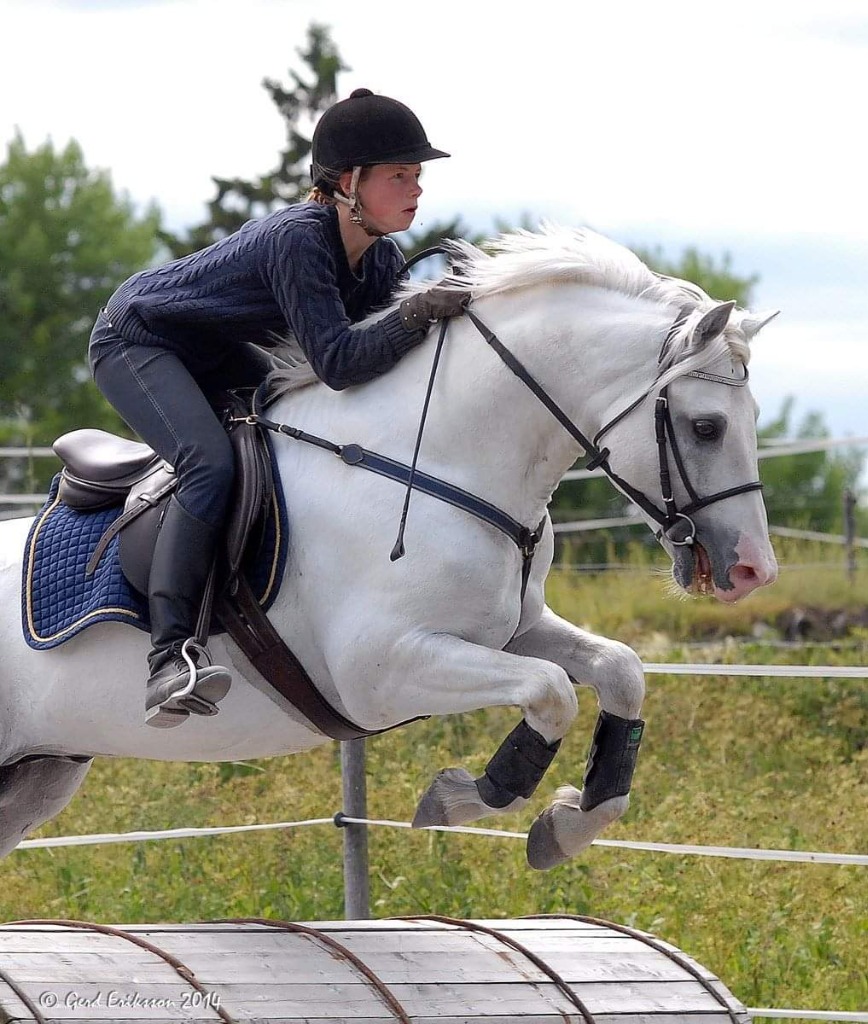 Gräns Diamond Surf 3