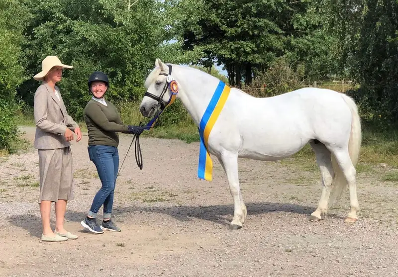 Gentle Farm’s Breeze RC 1425 2