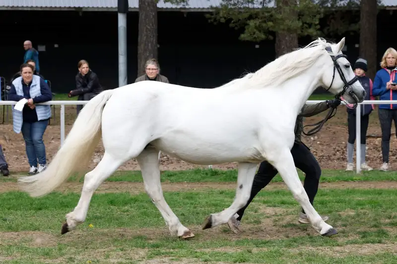 Gentle Farm’s Breeze RC 1425 4